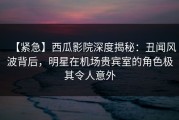 【紧急】西瓜影院深度揭秘：丑闻风波背后，明星在机场贵宾室的角色极其令人意外