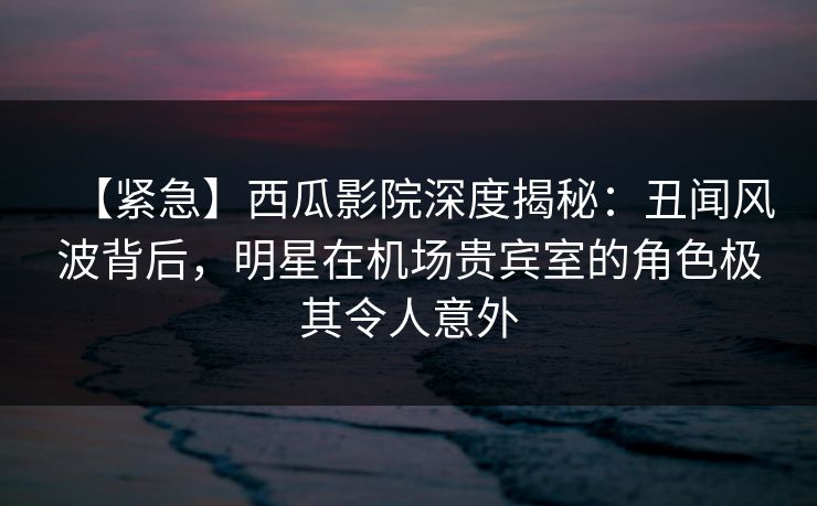【紧急】西瓜影院深度揭秘：丑闻风波背后，明星在机场贵宾室的角色极其令人意外