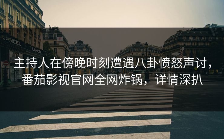 主持人在傍晚时刻遭遇八卦愤怒声讨，番茄影视官网全网炸锅，详情深扒