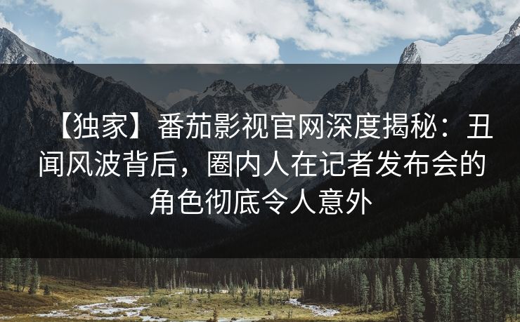 【独家】番茄影视官网深度揭秘：丑闻风波背后，圈内人在记者发布会的角色彻底令人意外