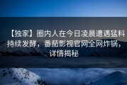 【独家】圈内人在今日凌晨遭遇猛料持续发酵，番茄影视官网全网炸锅，详情揭秘