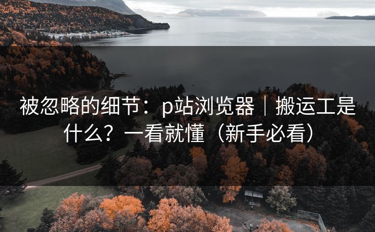 被忽略的细节：p站浏览器｜搬运工是什么？一看就懂（新手必看）
